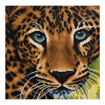 Picture of CRYSTAL ART LEOPARD 30X30CM